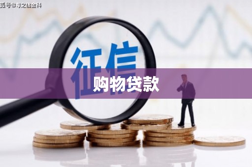 蔡甸购物贷款