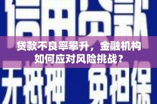 蔡甸贷款不良率攀升，金融机构如何应对风险挑战？