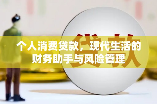 蔡甸个人消费贷款，现代生活的财务助手与风险管理