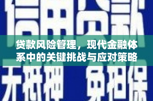 蔡甸贷款风险管理，现代金融体系中的关键挑战与应对策略
