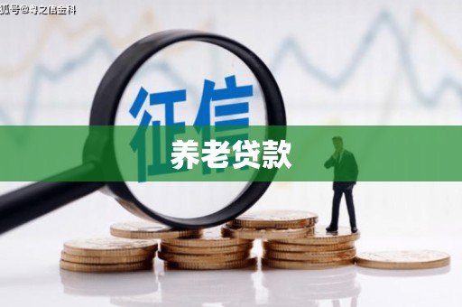 蔡甸养老贷款