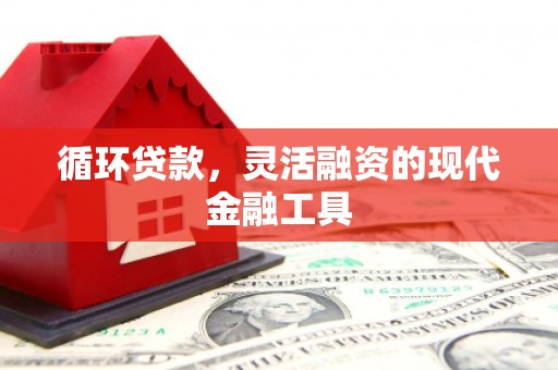 蔡甸循环贷款，灵活融资的现代金融工具