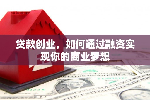 蔡甸贷款创业，如何通过融资实现你的商业梦想
