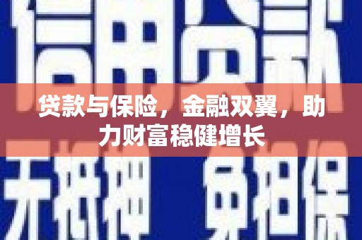 蔡甸贷款与保险，金融双翼，助力财富稳健增长