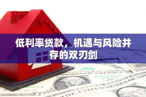 蔡甸低利率贷款，机遇与风险并存的双刃剑