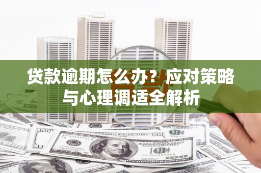 蔡甸贷款逾期怎么办？应对策略与心理调适全解析