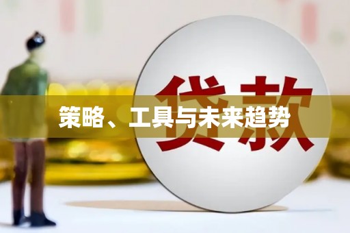 蔡甸策略、工具与未来趋势