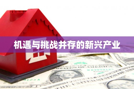 蔡甸机遇与挑战并存的新兴产业