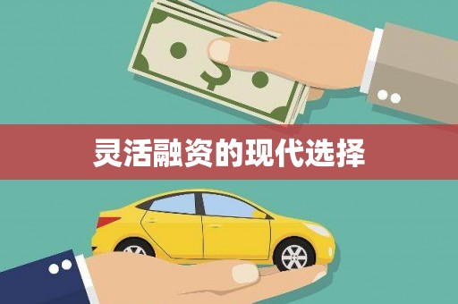蔡甸灵活融资的现代选择