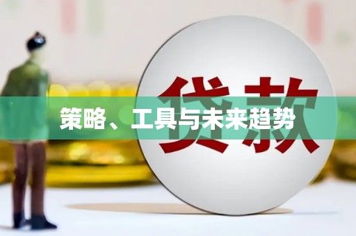 蔡甸策略、工具与未来趋势