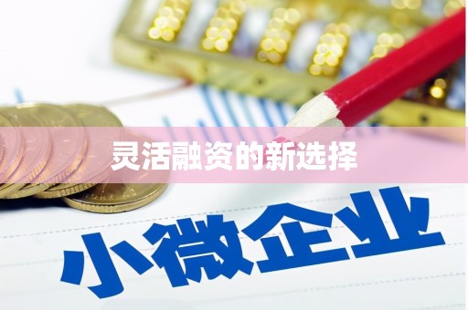 蔡甸灵活融资的新选择