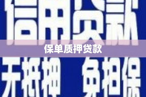 蔡甸保单质押贷款
