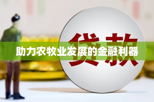 蔡甸助力农牧业发展的金融利器