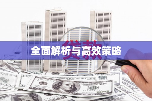 蔡甸全面解析与高效策略