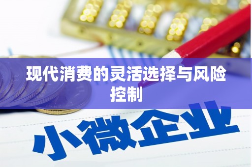 蔡甸现代消费的灵活选择与风险控制