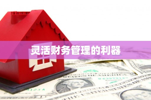 蔡甸灵活财务管理的利器