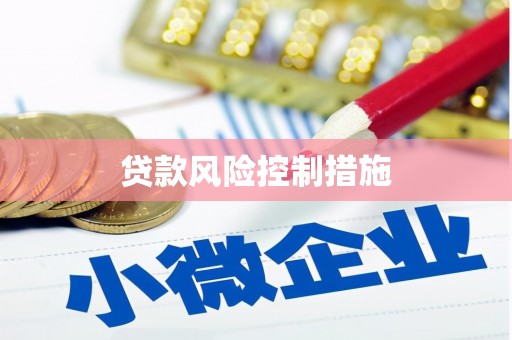 蔡甸贷款风险控制措施