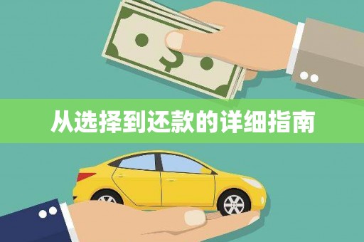 蔡甸从选择到还款的详细指南