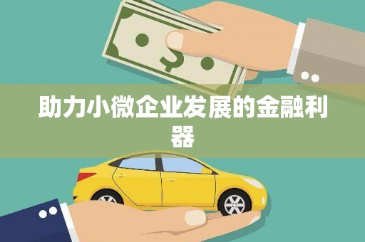 蔡甸助力小微企业发展的金融利器