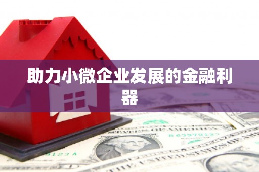 蔡甸助力小微企业发展的金融利器