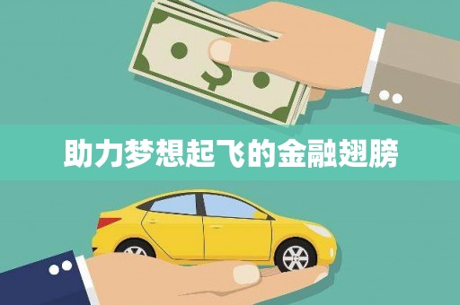 蔡甸助力梦想起飞的金融翅膀