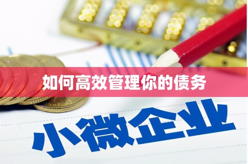 蔡甸如何高效管理你的债务