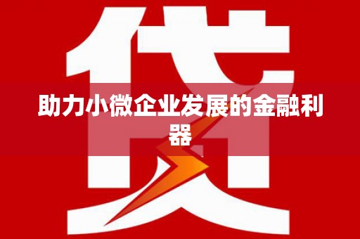 蔡甸助力小微企业发展的金融利器