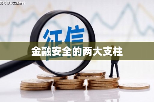 蔡甸金融安全的两大支柱