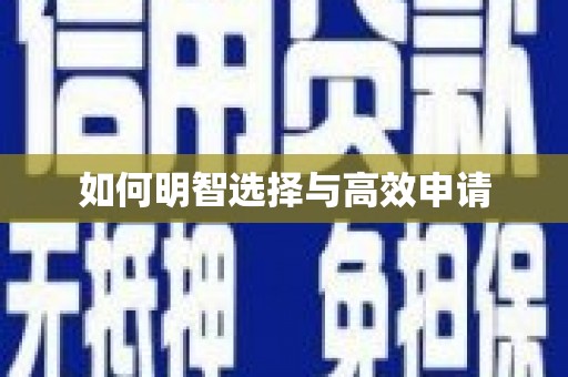 蔡甸如何明智选择与高效申请