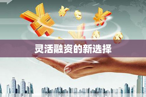蔡甸灵活融资的新选择