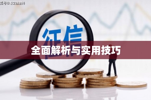 蔡甸全面解析与实用技巧 蔡甸全面解析与实用技巧