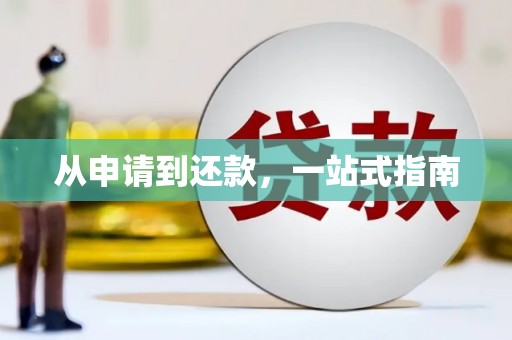 蔡甸从申请到还款，一站式指南