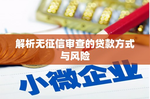 蔡甸解析无征信审查的贷款方式与风险
