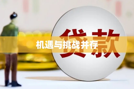 蔡甸机遇与挑战并存
