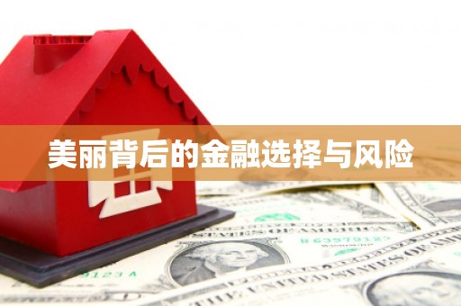 蔡甸美丽背后的金融选择与风险
