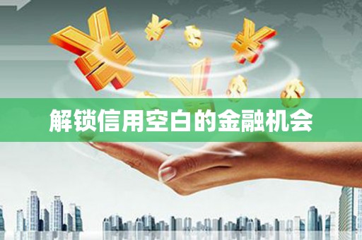 蔡甸解锁信用空白的金融机会