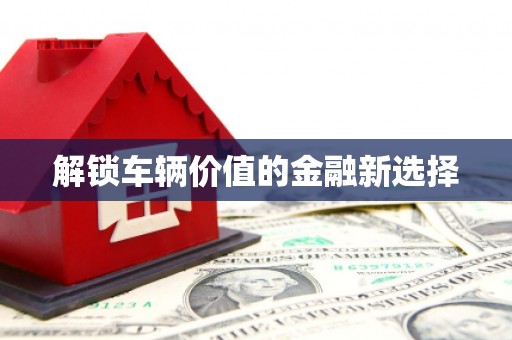 蔡甸解锁车辆价值的金融新选择