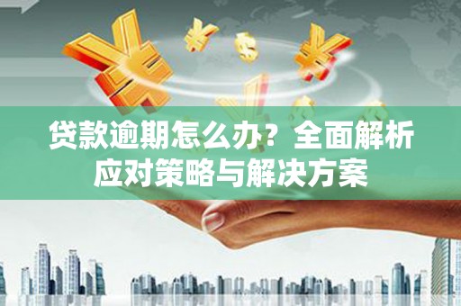 蔡甸贷款逾期怎么办？全面解析应对策略与解决方案