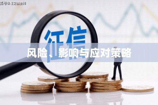 蔡甸风险、影响与应对策略