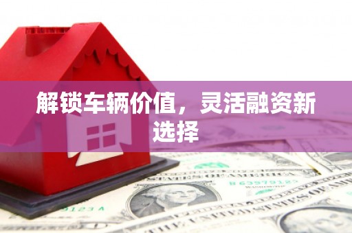 蔡甸解锁车辆价值，灵活融资新选择
