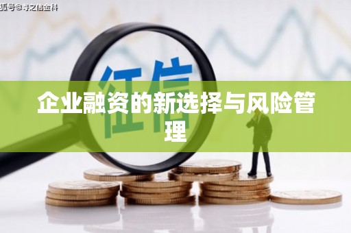 蔡甸企业融资的新选择与风险管理