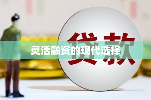 蔡甸灵活融资的现代选择