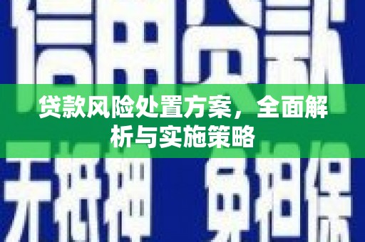 蔡甸贷款风险处置方案，全面解析与实施策略