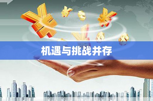 蔡甸机遇与挑战并存