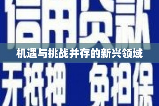 蔡甸机遇与挑战并存的新兴领域