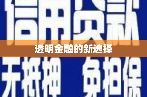 蔡甸透明金融的新选择