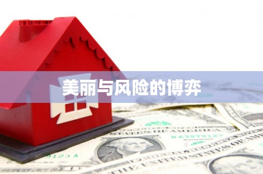 蔡甸美丽与风险的博弈