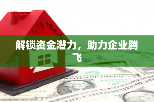 蔡甸解锁资金潜力，助力企业腾飞