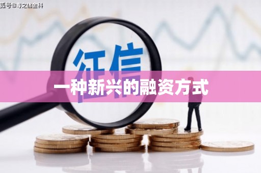 蔡甸一种新兴的融资方式