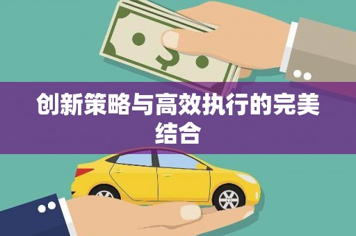 蔡甸创新策略与高效执行的完美结合